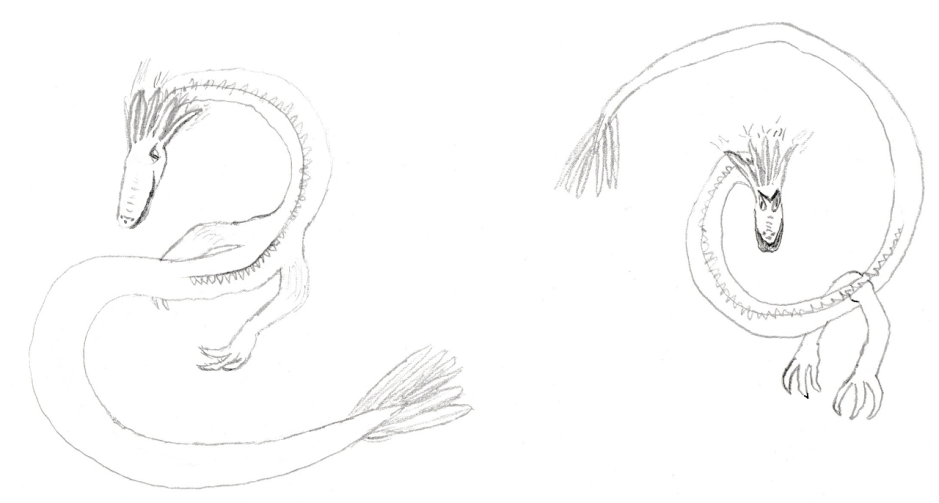 Rough sketches of my dragon